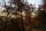 81 Sole al tramonto
